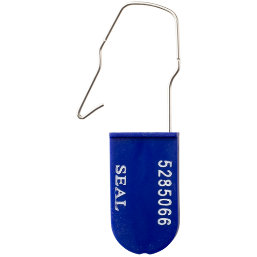 Plastic Padlock