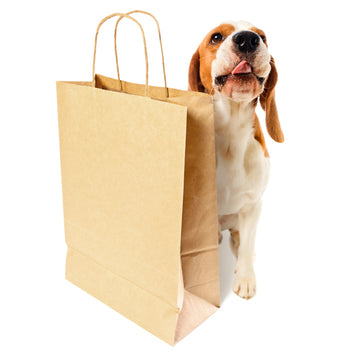 Kraft Paper Bags